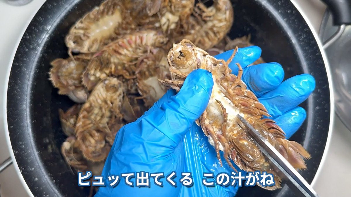 茸本 朗(たけもとあきら)　「野食ハンター茸本朗ch」公開中!! tweet media