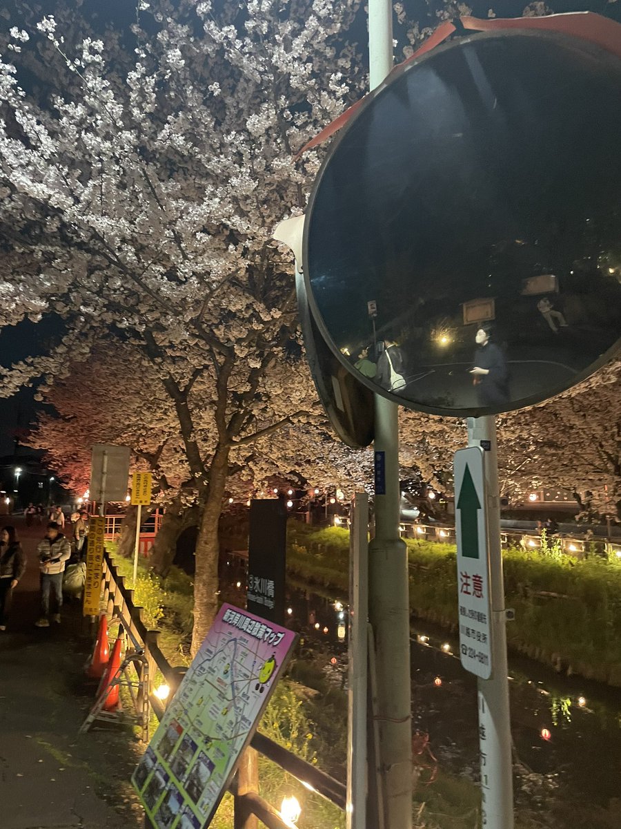 ラージス tweet media