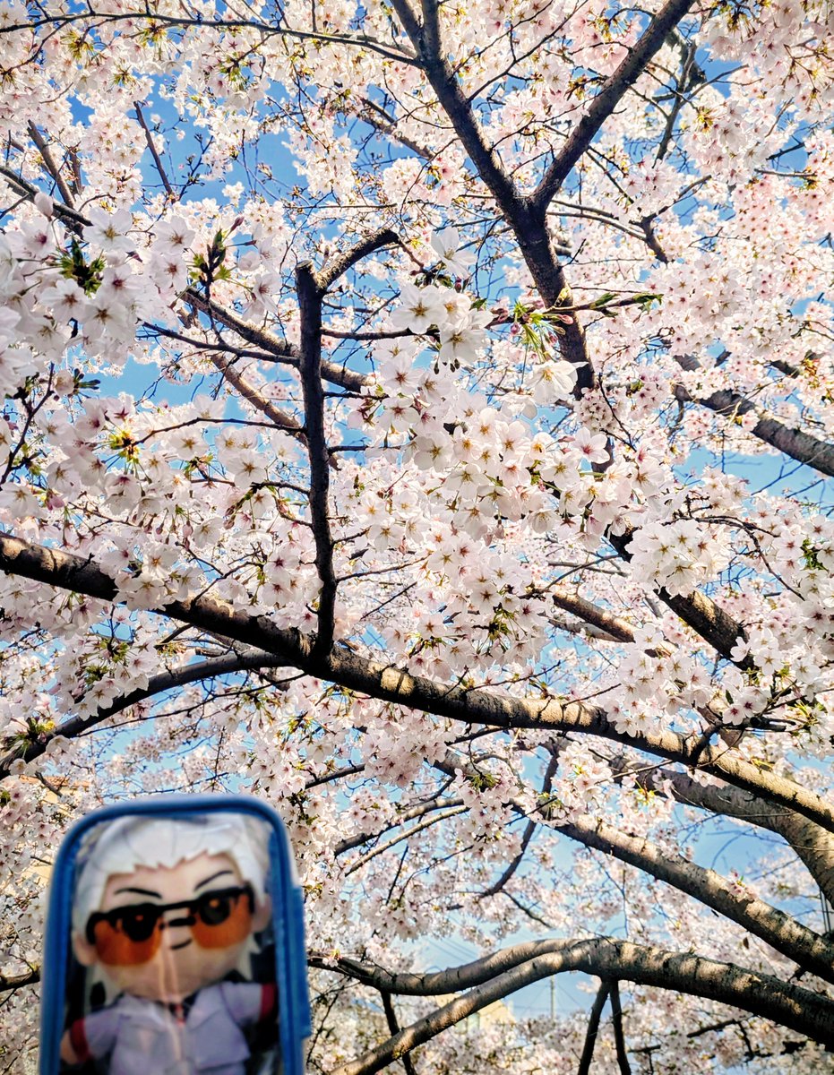 えへへ tweet media