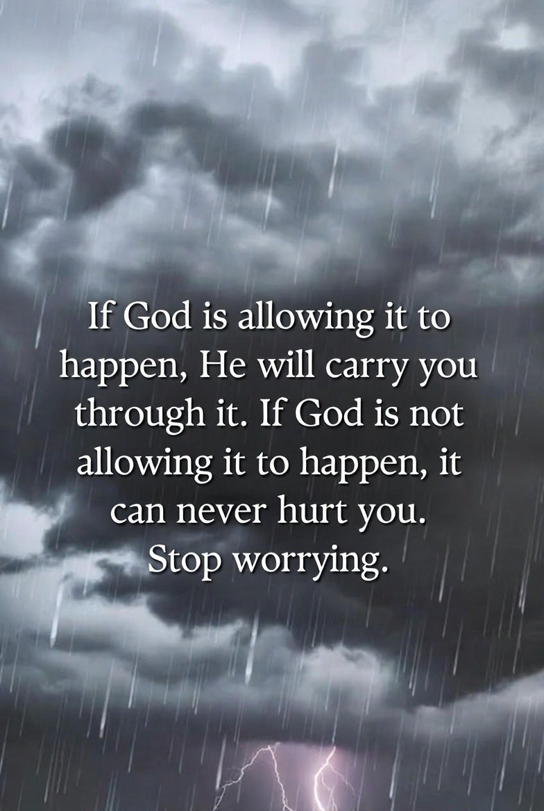 Nancy Iskander tweet media