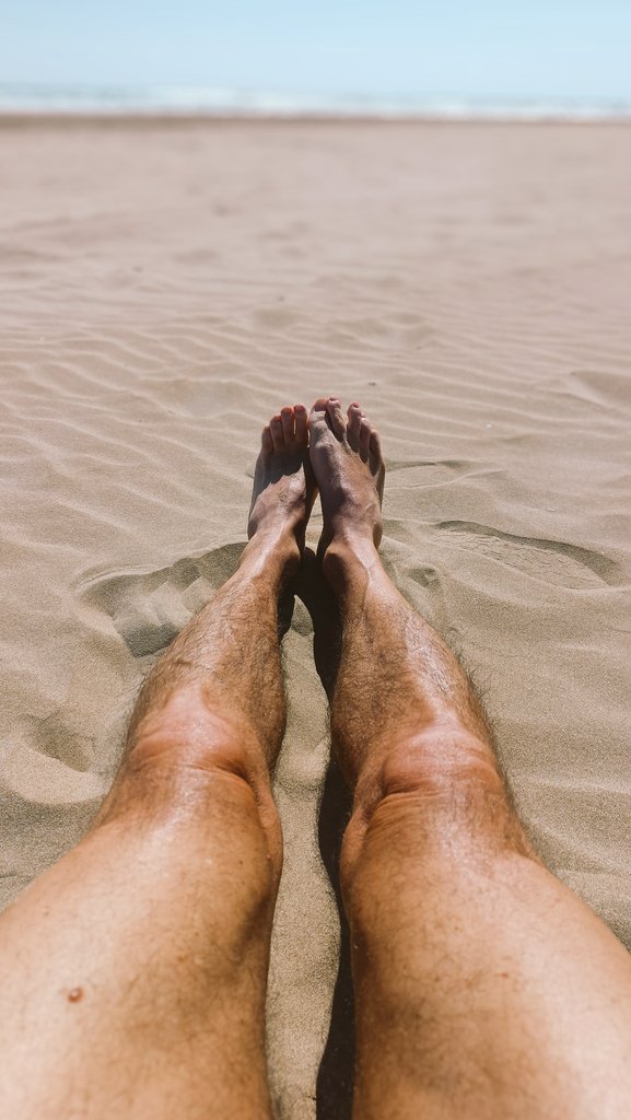 🕷️🕷️🕷️ tweet media