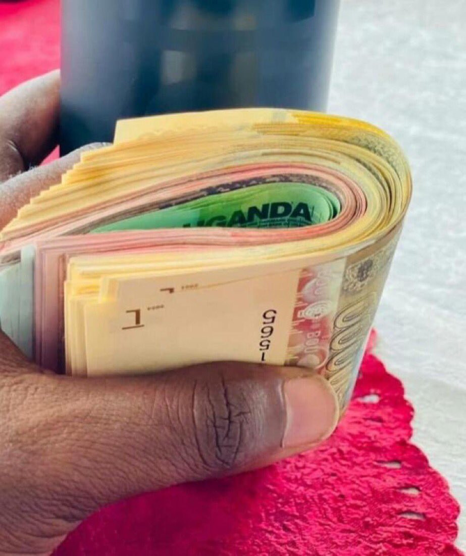 Kantinti🦋 tweet media