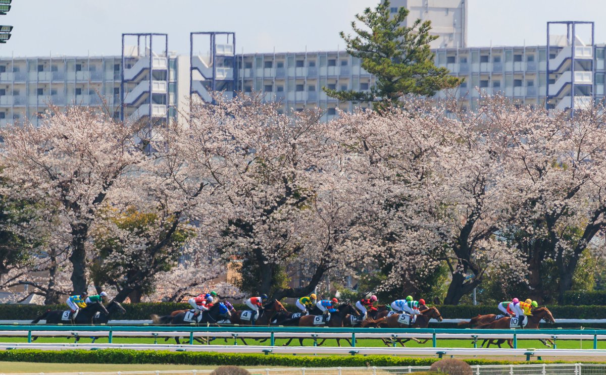 Grant Courtney tweet media