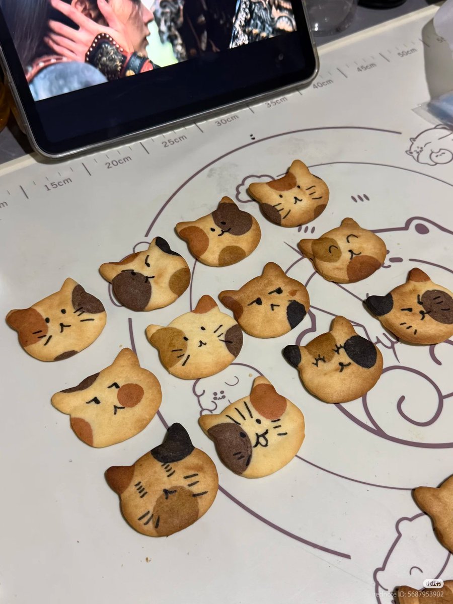 nocontextscats's tweet photo. Before                                    After https://t.co/Z0XknBdsWm