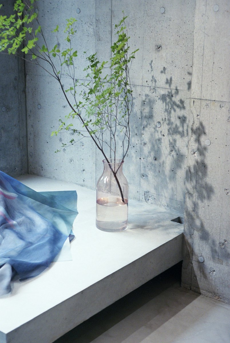 フジイサミ tweet media