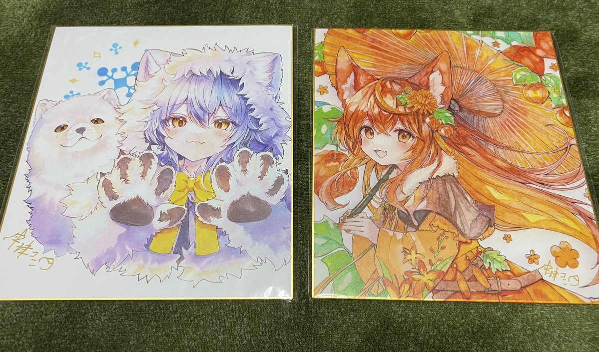 🐈‍⬛ぶん🐈 tweet media