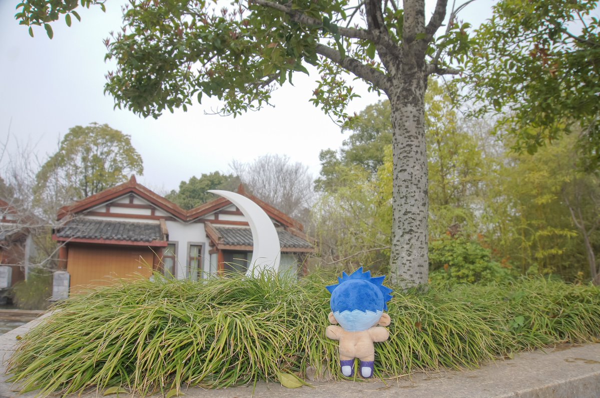 💦爆 漿 魷 魚🐙 tweet media