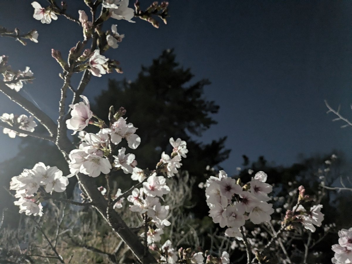 まさとし tweet media