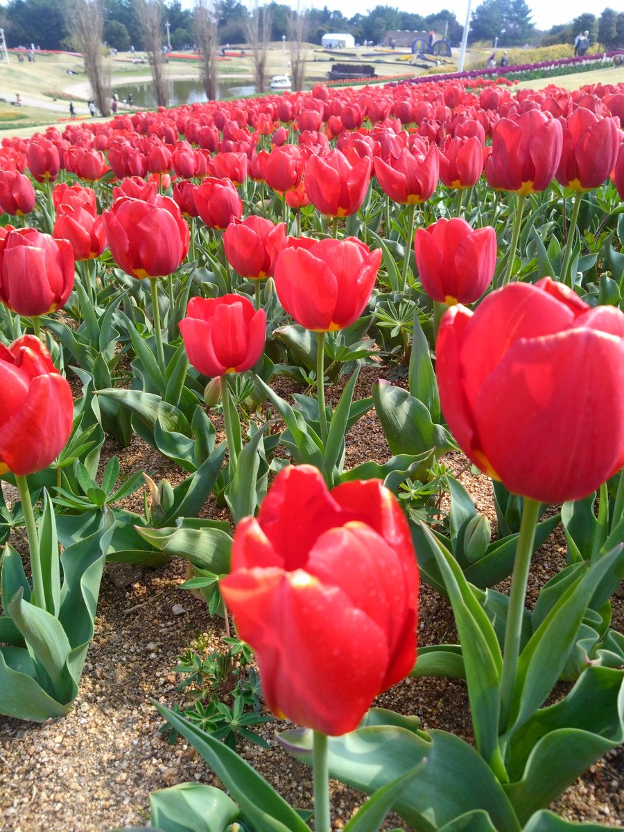 sunset__87 tweet media