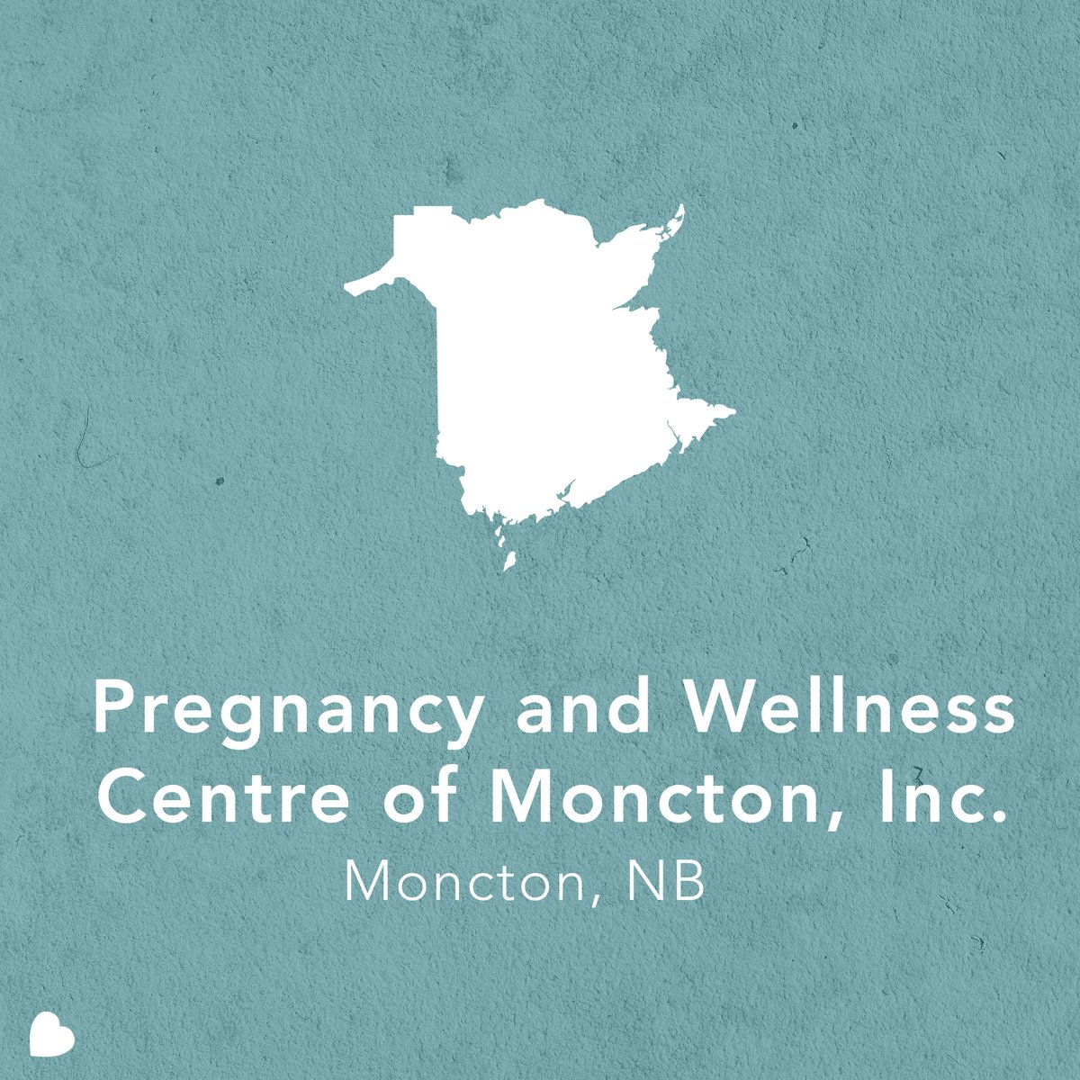 Care Net tweet media