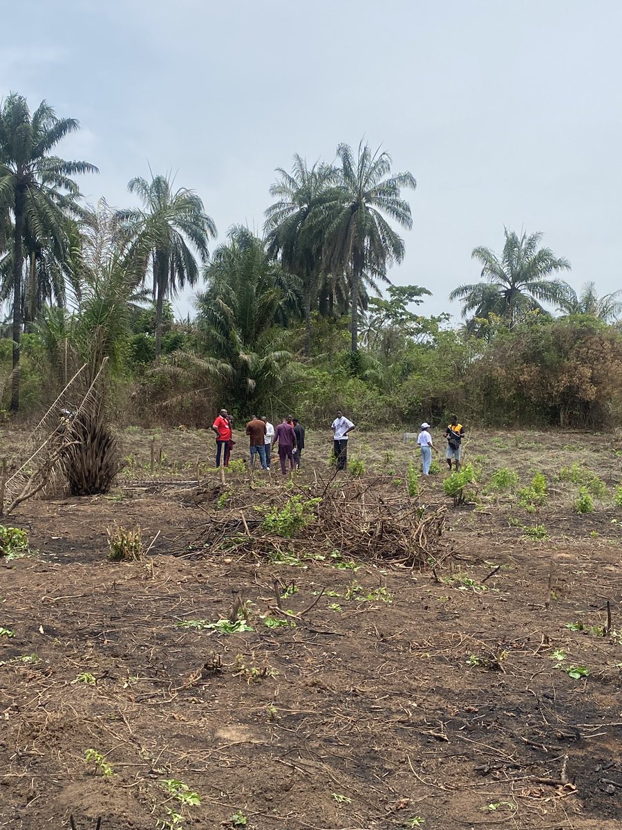 GeoSecure Consult tweet media