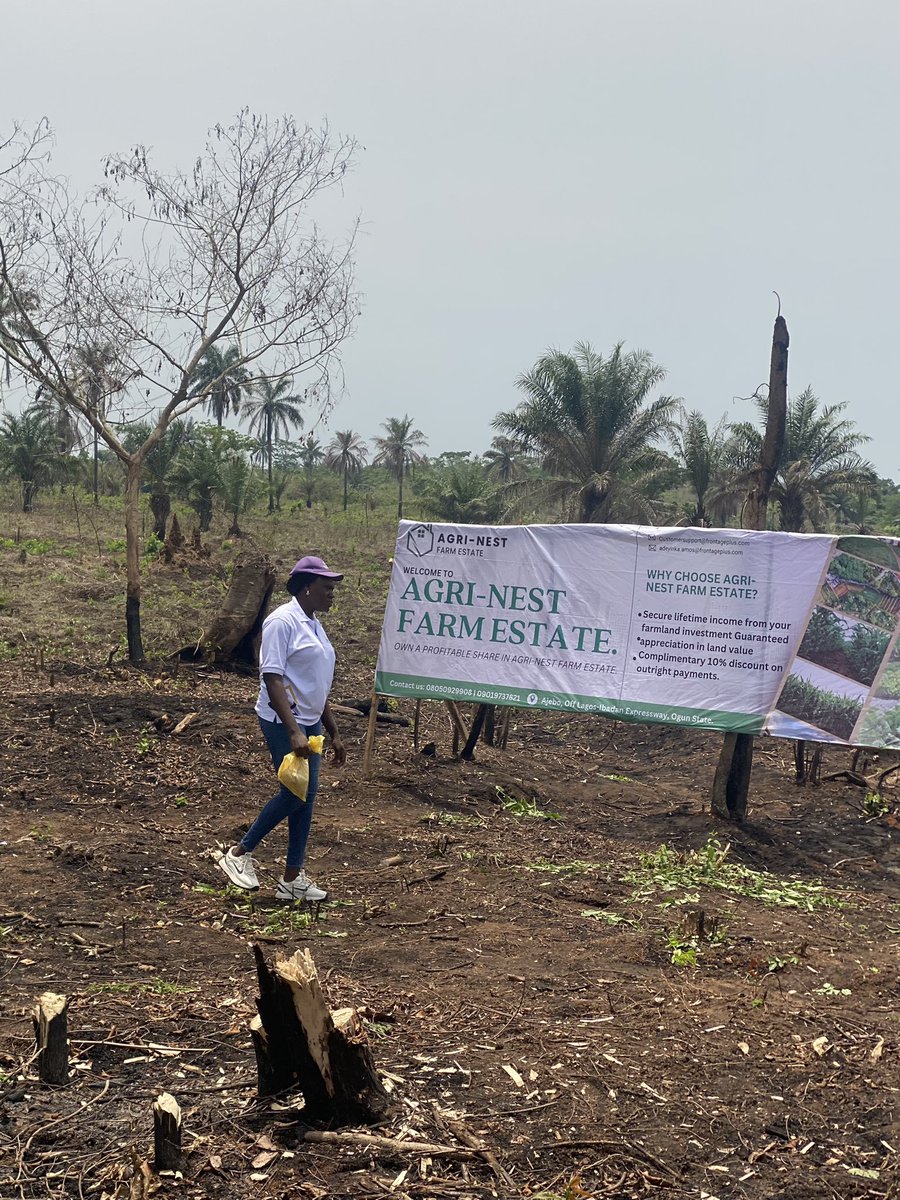 GeoSecure Consult tweet media