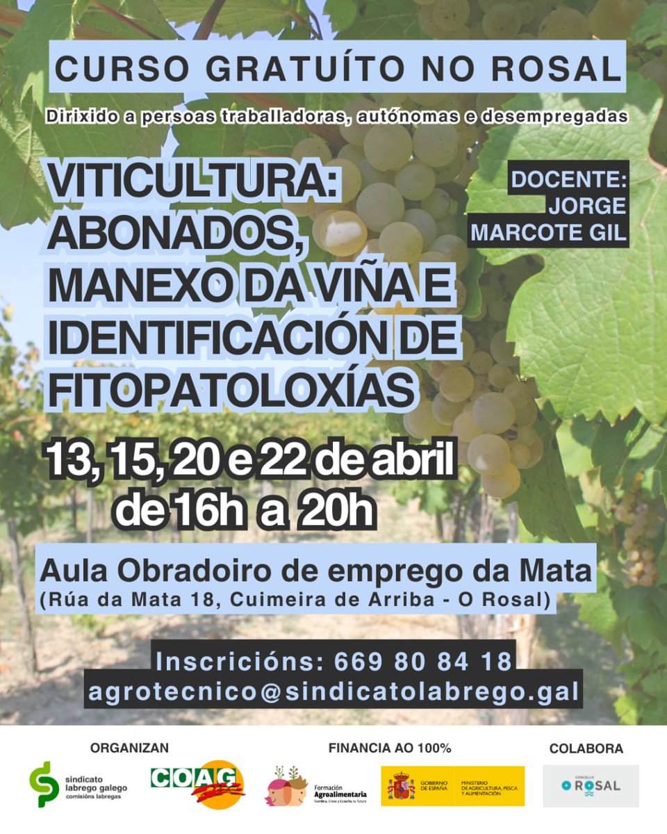 Concello do Rosal tweet media