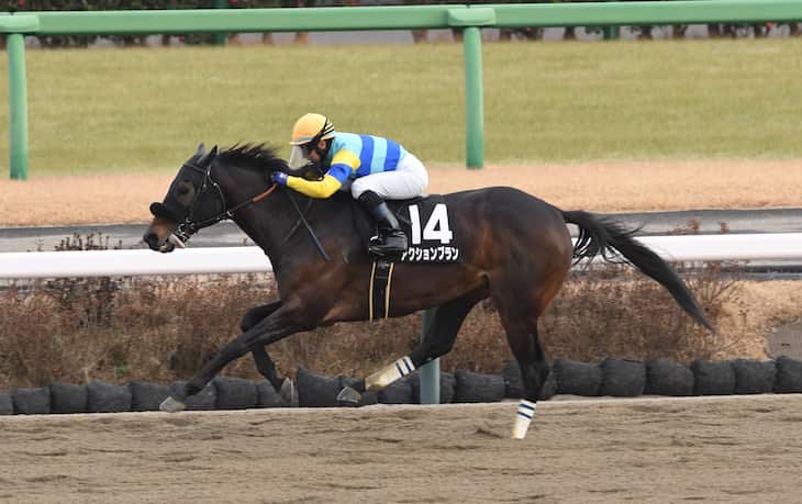 うまうま生活😋（ときどきタイガース⚾️） tweet media