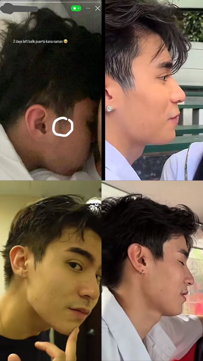 alexandria tweet media