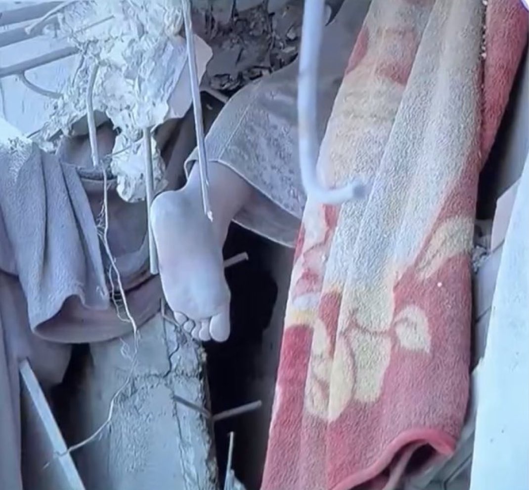 Seyed Mohammad Marandi tweet media