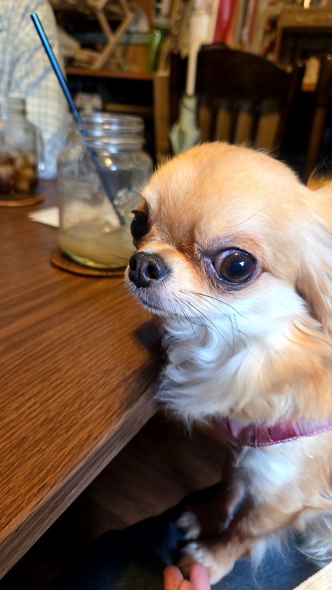 erinitaaaaa@(๑•᎑•๑) tweet media