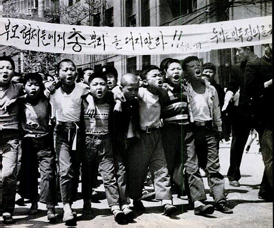 늘푸른소나무 tweet media