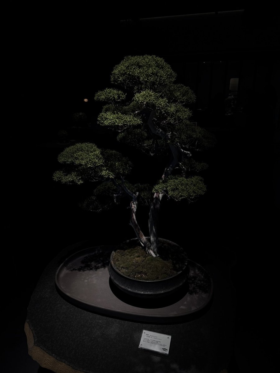 ℛ⃛© tweet media