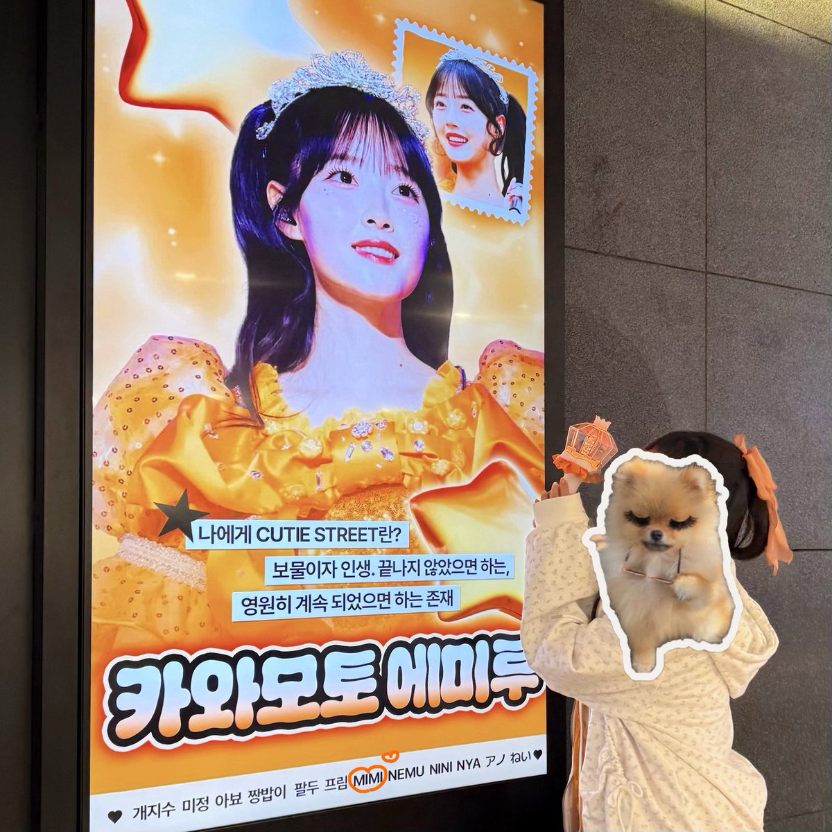 mimi୨ৎ ྀི tweet media