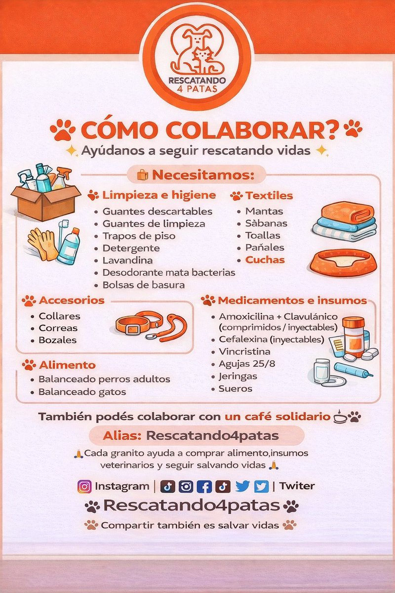 Rescatando4patas tweet media