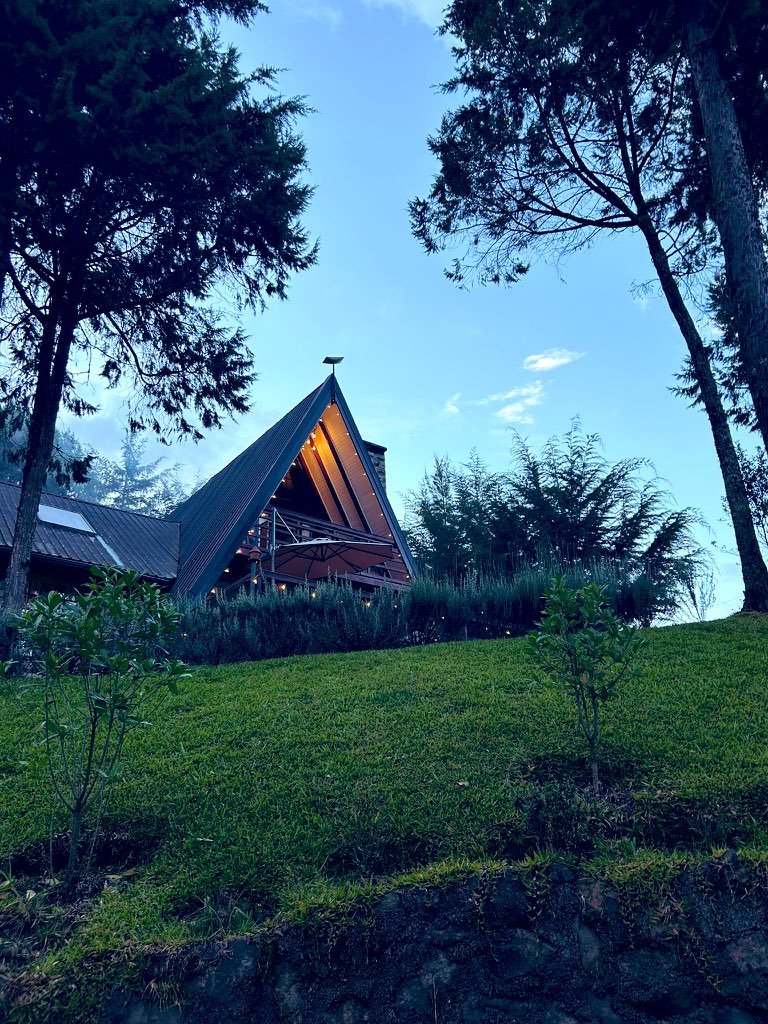 M O I B E N S H I R E tweet media