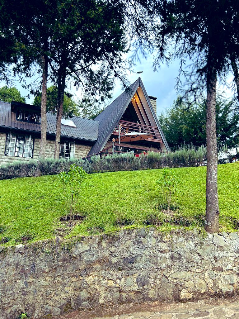 M O I B E N S H I R E tweet media