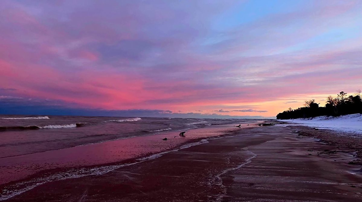 Mark the Caddie tweet media