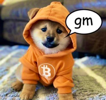 Lina 🌊🐳 tweet media