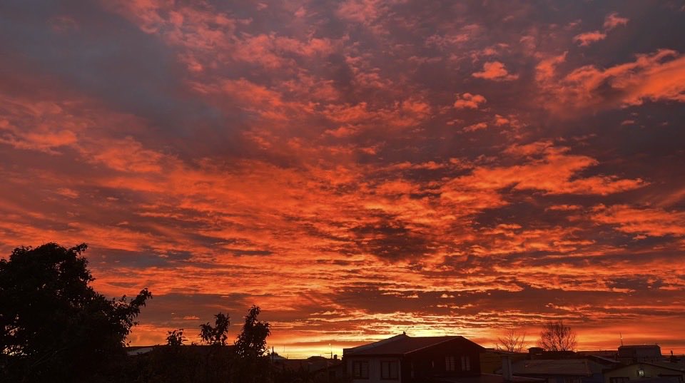 Patricia Stambuk tweet media