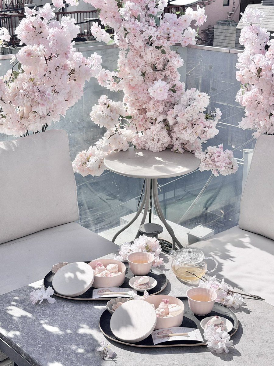 🎀🧸Ginger Garden AOYAMA ジンジャーガーデン tweet media