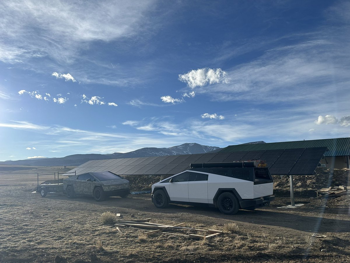 Rockternal tweet media