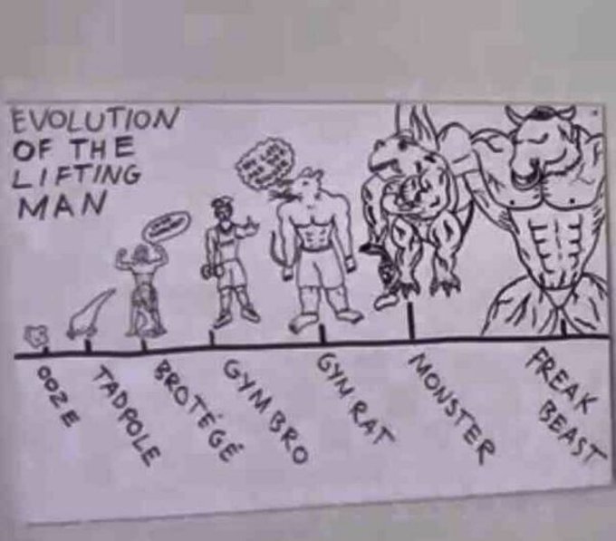 Bailey Schober | Men’s Fitness & Nutrition Coach tweet media