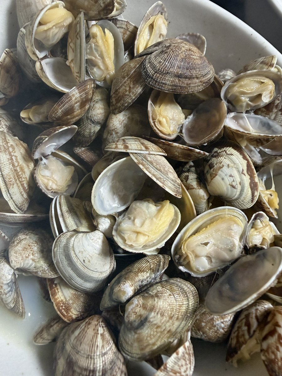 シャオロン tweet media