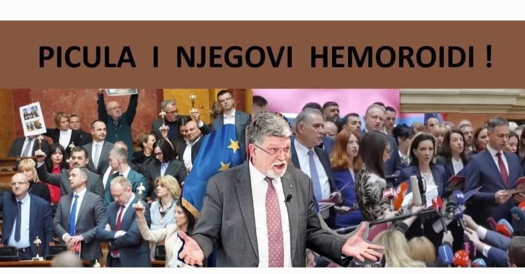 Petar Petrovic tweet media