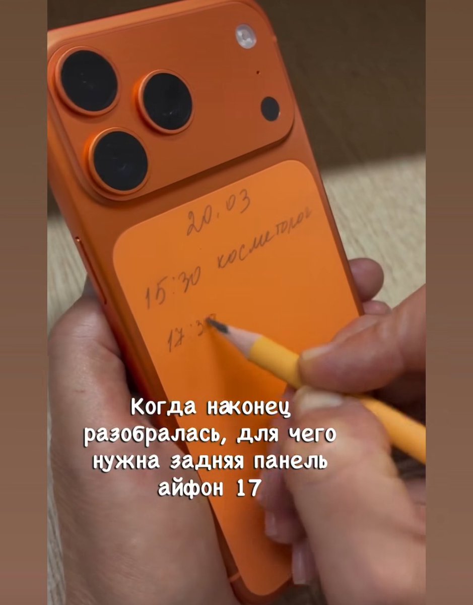 Александрова 🐝 tweet media