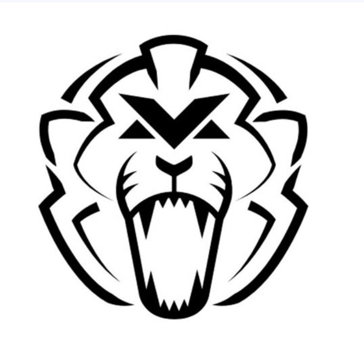 Data Bulls tweet media