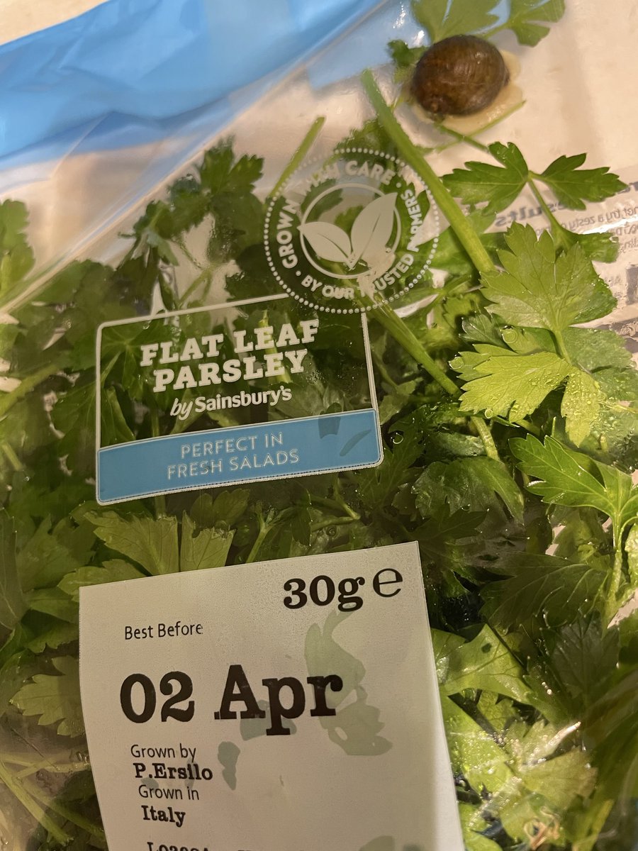 wend222's tweet photo. @sainsburys brought this yesterday but only just seen the bonus gift! https://t.co/XvfgOnr0fU