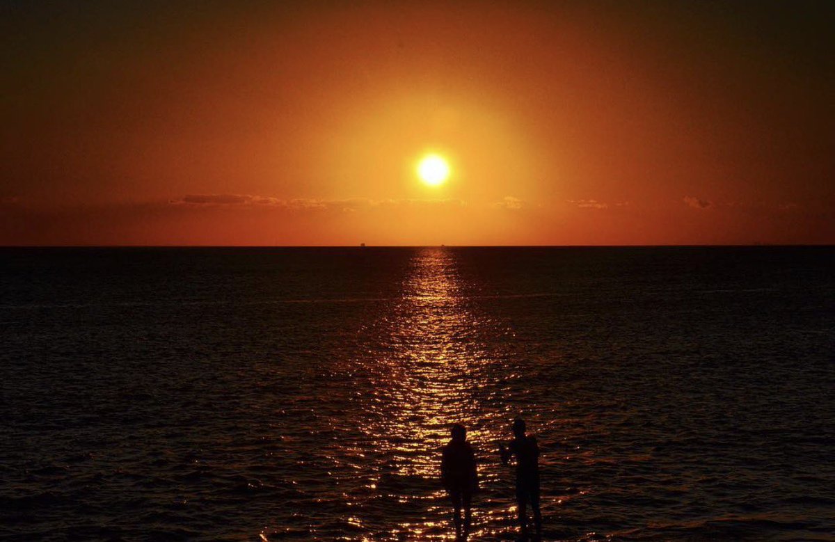 JAMES WEBB tweet media