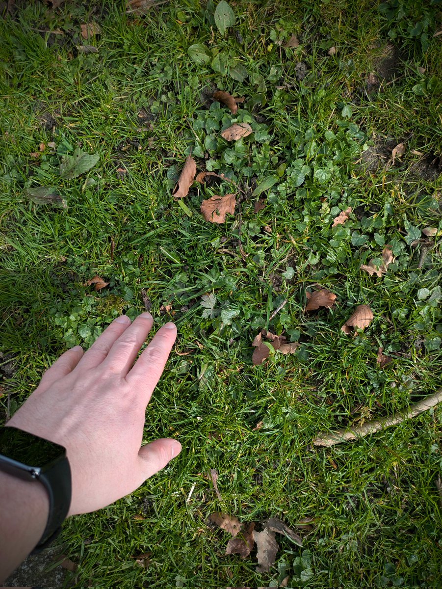 ChillyDDJ tweet media