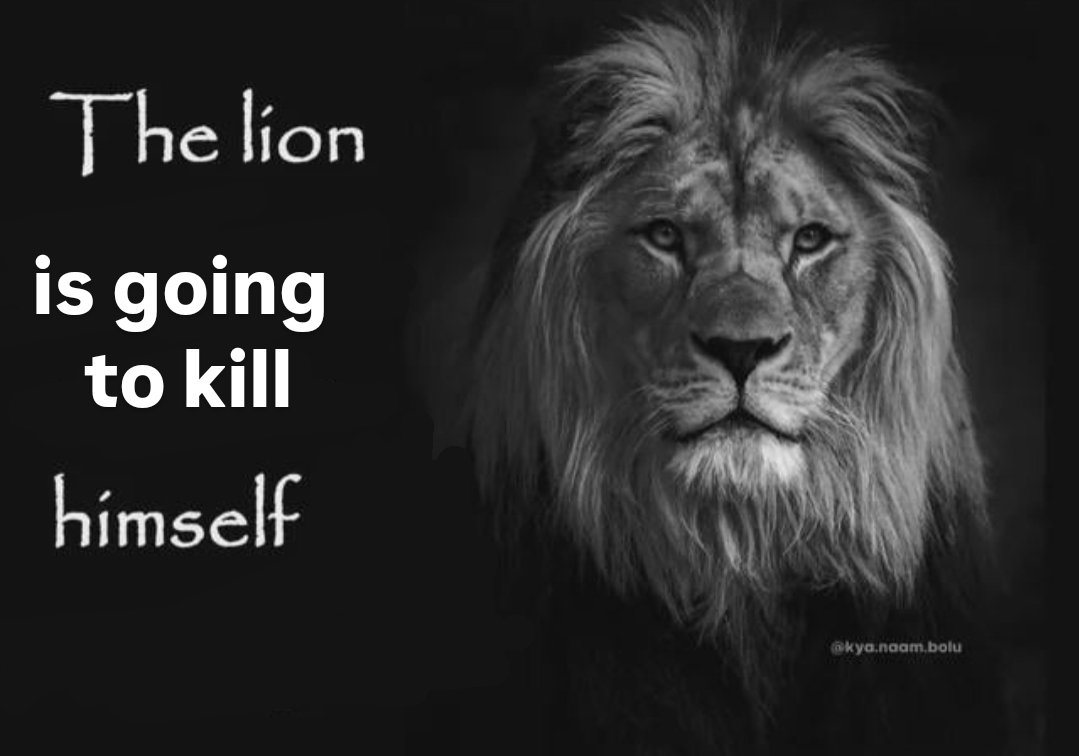 Phrolova Enjoyer tweet media