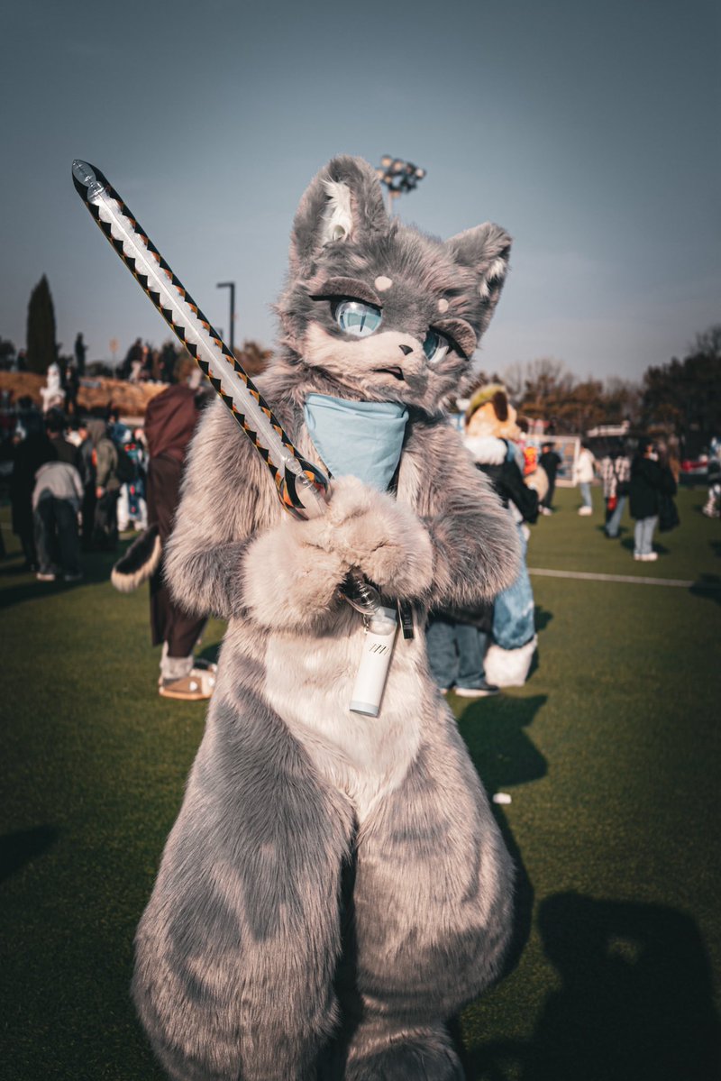 퀘이버 tweet media