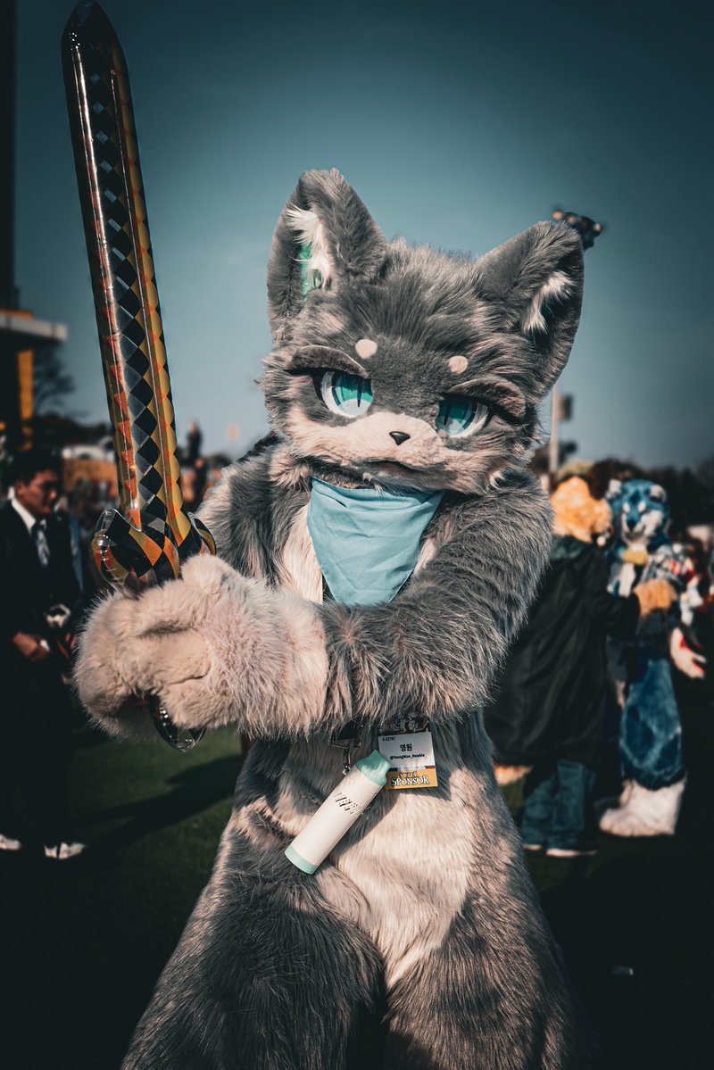 퀘이버 tweet media