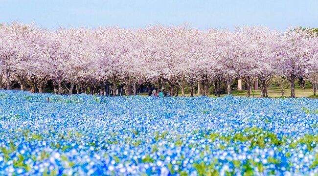 極上の旅図鑑 tweet media