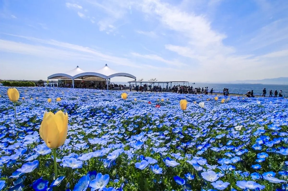 極上の旅図鑑 tweet media