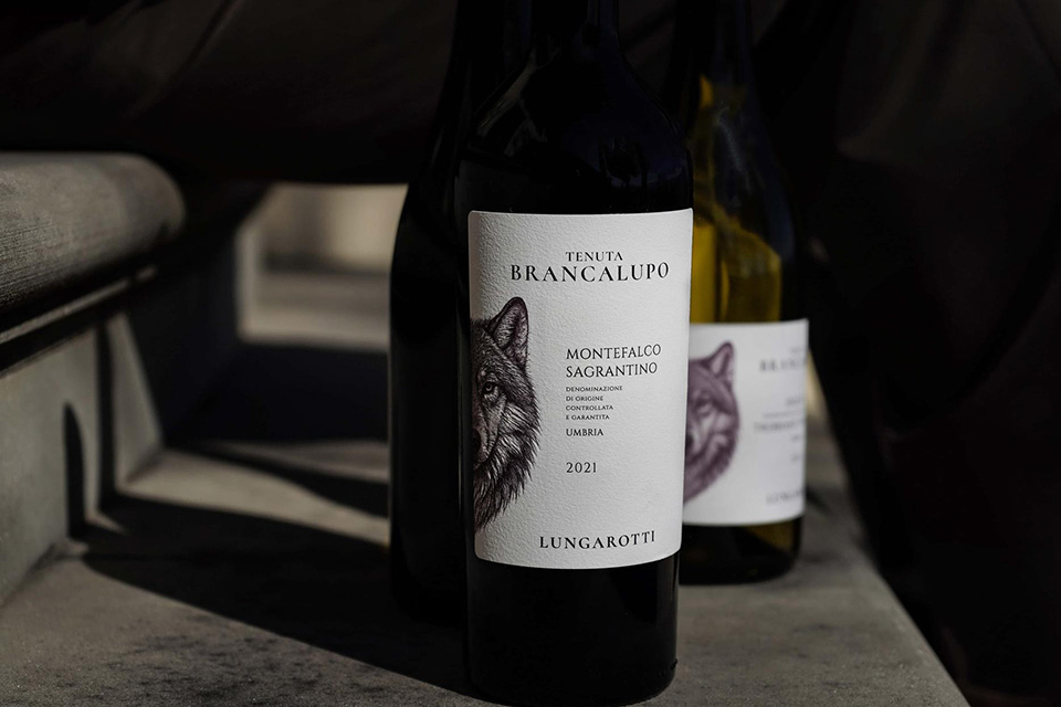 Bereilvino's tweet photo. Lungarotti presenta Tenuta Brancalupo a Montefalco 

#ChiaraLungarotti #Enoturismo #Lungarotti #Montefalco #MuseodelVino #Sagrantino #Sangiovese #Sostenibilità #Territorio #Trebbiano #Vini 

https://t.co/WE0Xd4s6OK https://t.co/02v33NrZqB