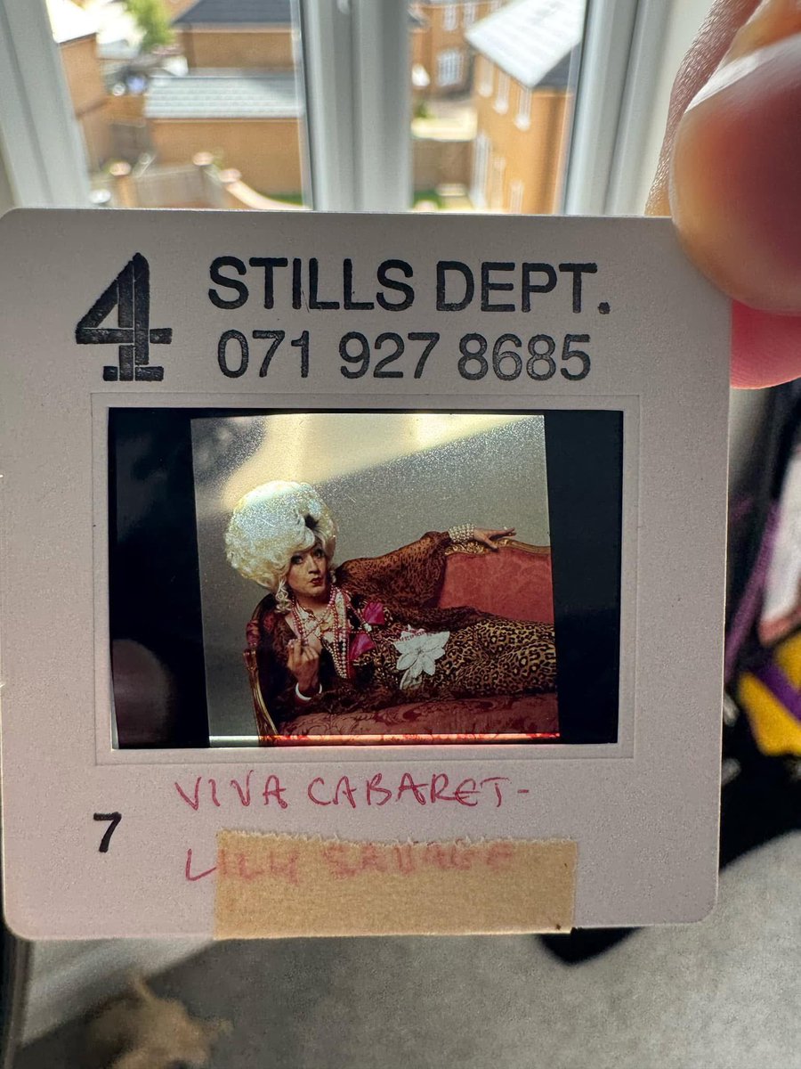 тν ℓєgѕ tweet media