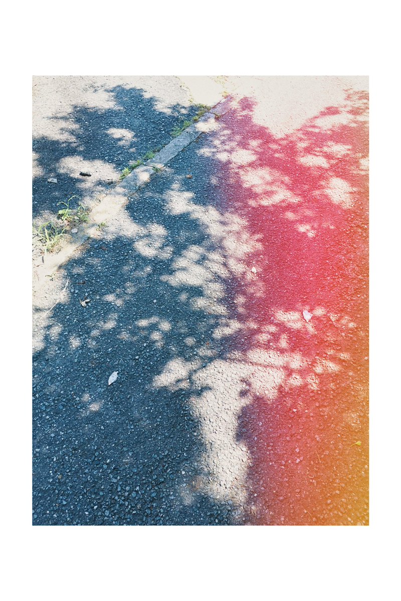 きりまれ tweet media