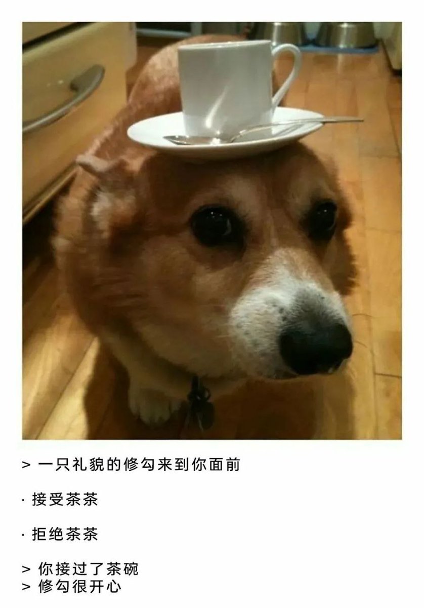 香芋牛奶 tweet media