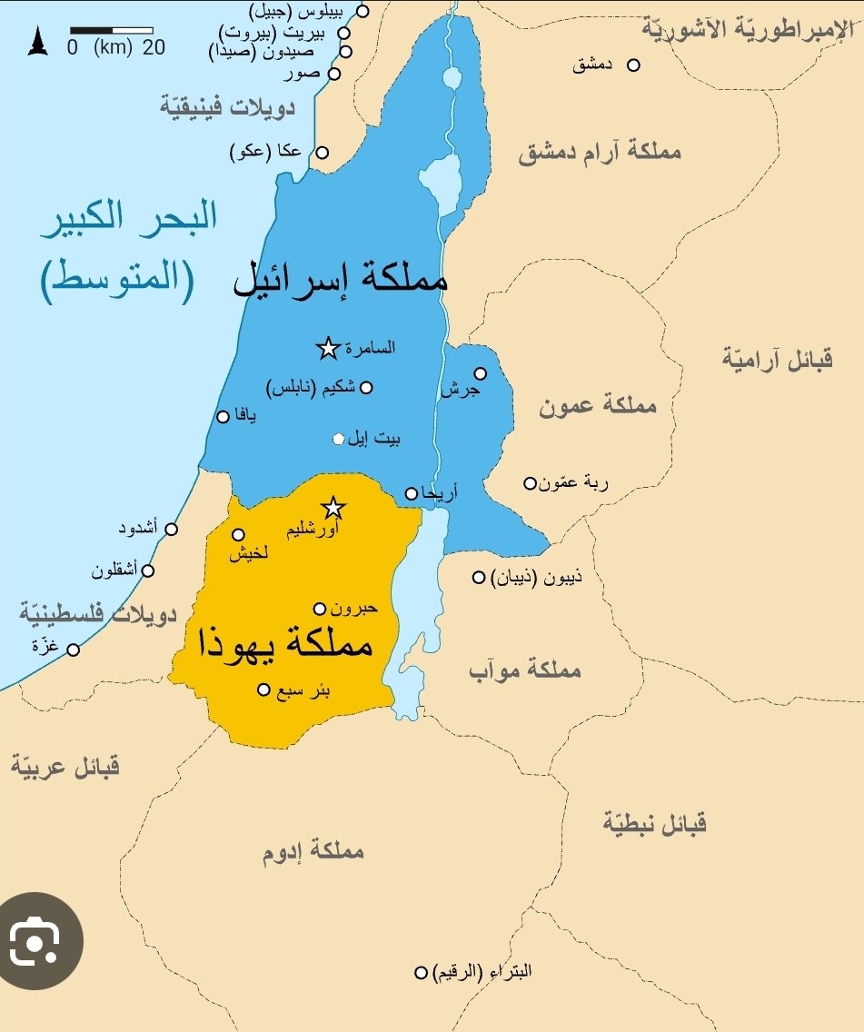 Nermeen Tawfik tweet media